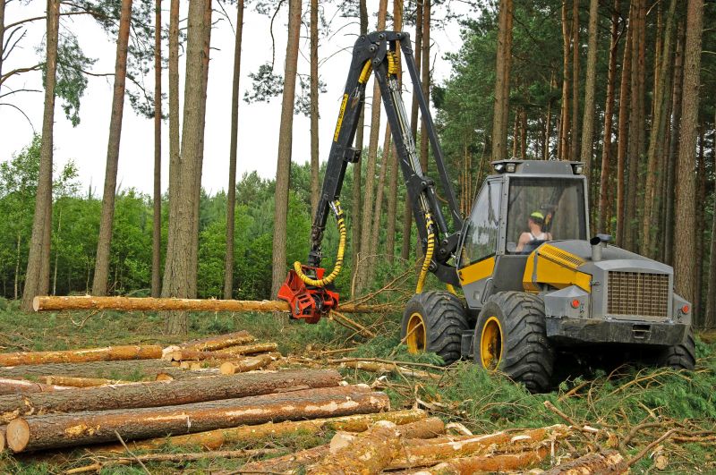 Large Tree Removal Equipment