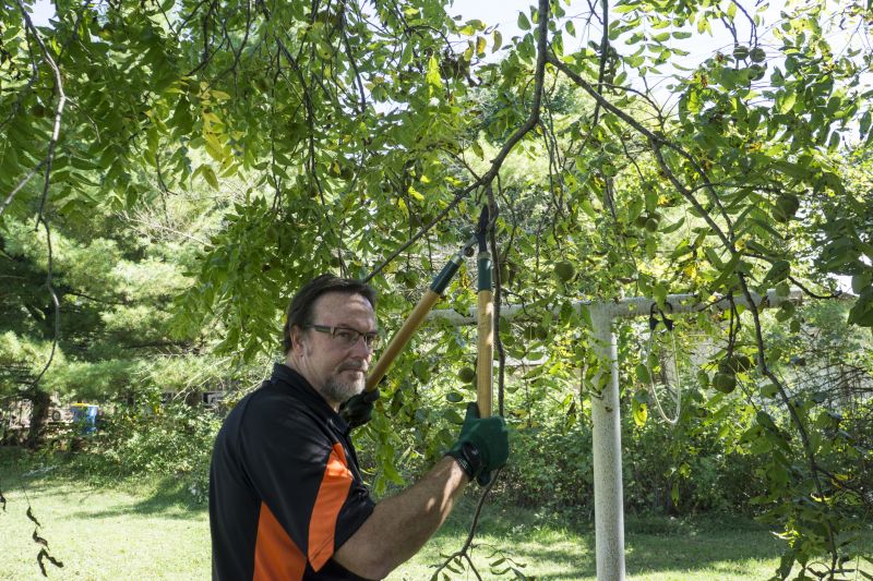 Products For Tree Prunings in use