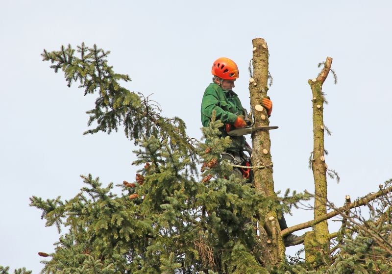 Pruning for Safety